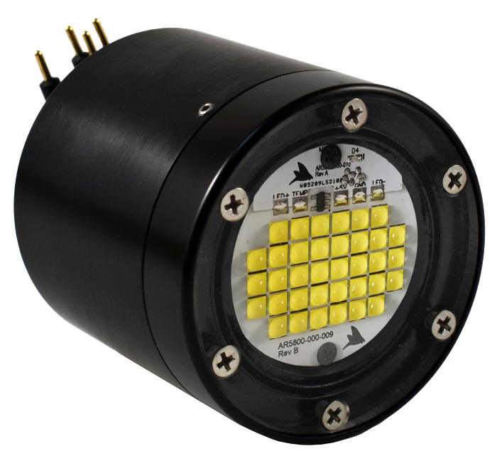 DragonFish Mini Torch